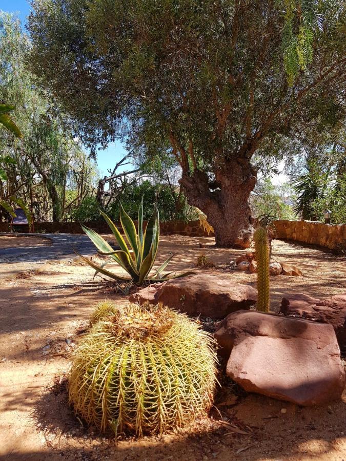 Gato Preto De Silves - Adults Only Bed & Breakfast Dış mekan fotoğraf